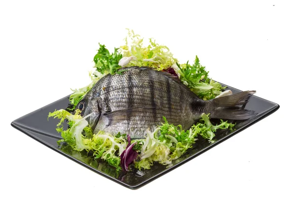 Rohes Tilapia — Stockfoto