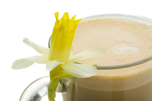 Coffee Late with Flower, mint, star-anise and cinnamon — Stock Photo, Image