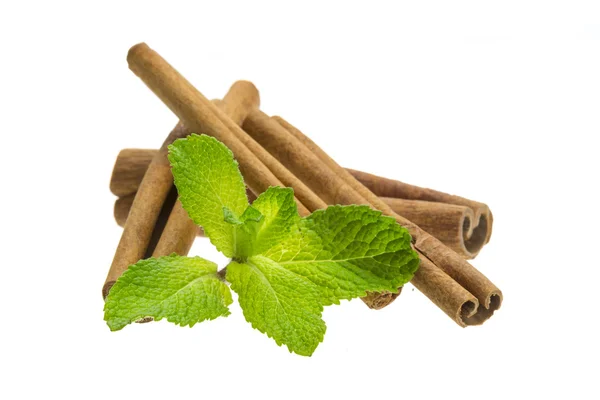 Cinnamon and fresh mint leaves — Stock Photo, Image