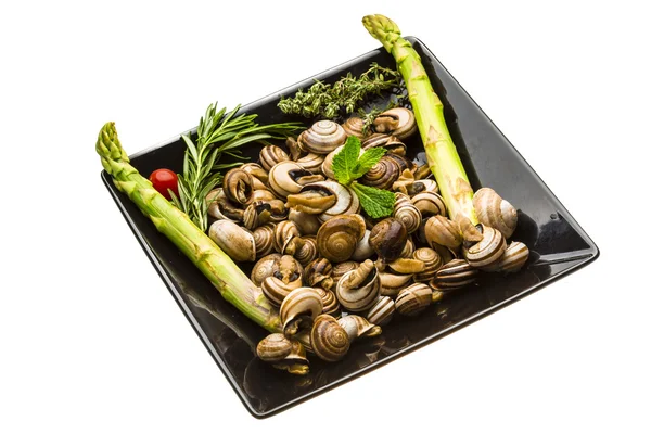 Escargot met asperges, rozemarijn, zwezerik en tomaat — Stockfoto