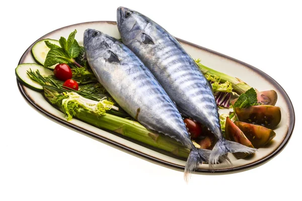 Färska atlanticmackerel — Stockfoto