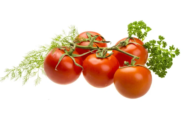 Красные спелые помидоры на ветке — стоковое фото