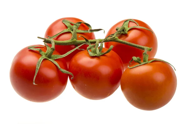 Červená zralá rajčata na větvi — Stock fotografie