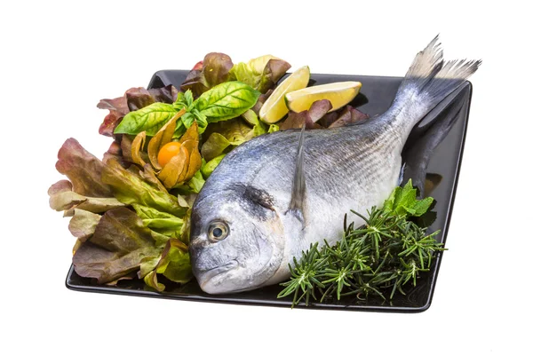 Fresh raw dorada — Stock Photo, Image