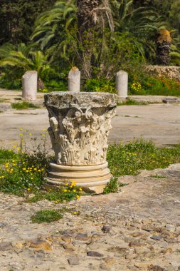 eski Kartaca Harabeleri