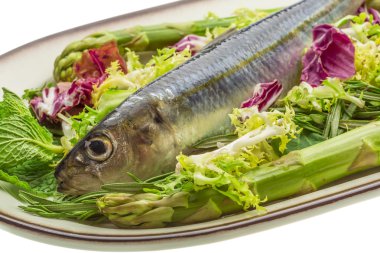 taze ringa balığı