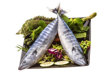 taze atlanticmackerel