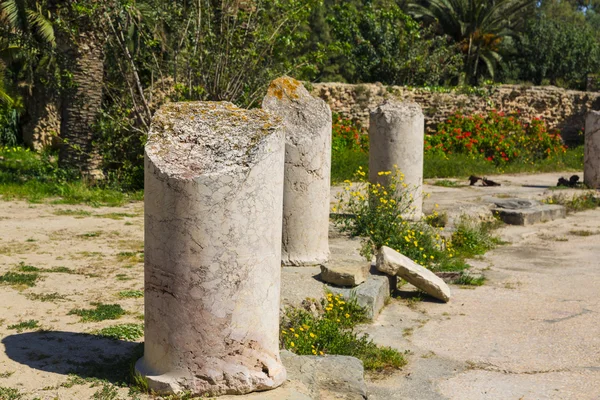 Antiguas ruinas de Cartago — Foto de Stock