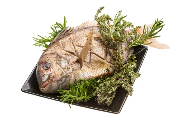 Grilled sea perch — Stock Photo, Image