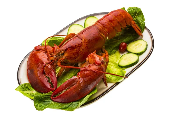 Large Lobster — Stock Photo, Image