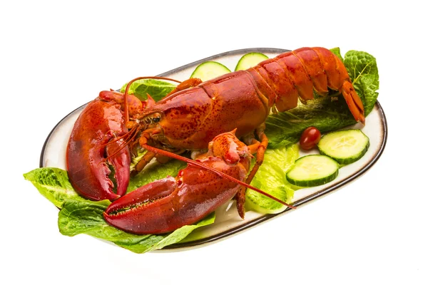 Large Lobster — Stock Photo, Image