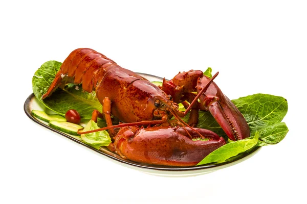 Large Lobster — Stock Photo, Image