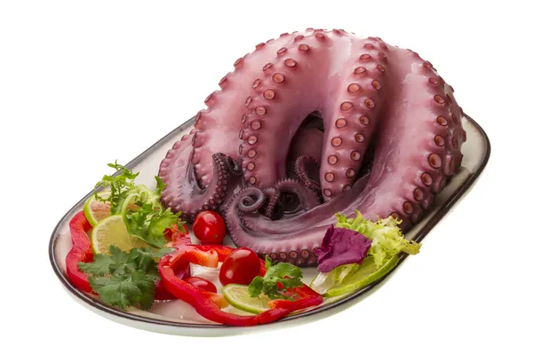 Grote gekookte octopus — Stockfoto