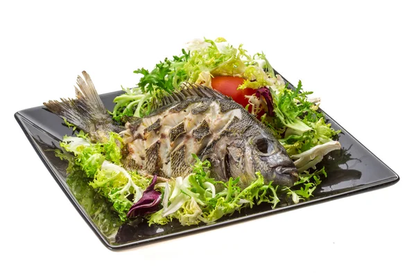 Izgara tilapia ile salata — Stok fotoğraf