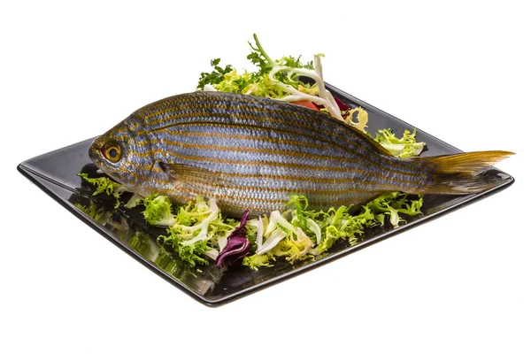 Salema porgy - Sarpa-Fisch — Stockfoto