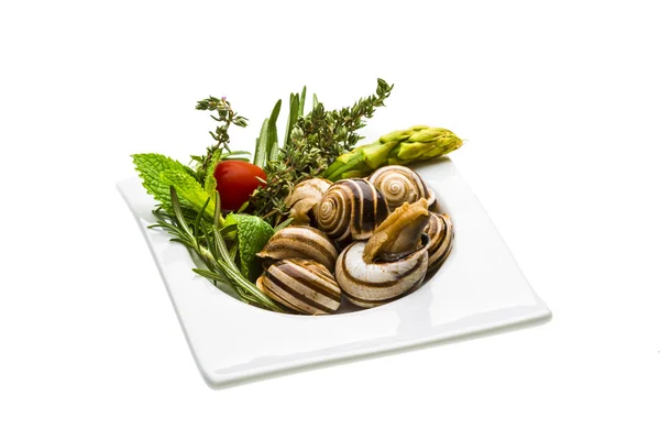 Escargot con espárragos, romero, timo y tomate — Foto de Stock
