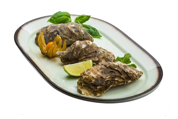 Fresh oyster — Stock Photo, Image