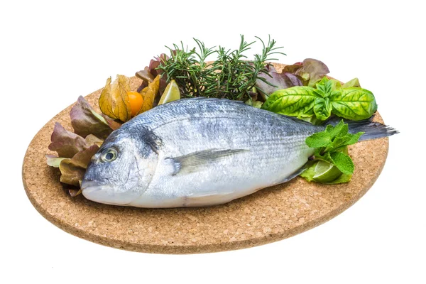 Fresh raw dorada — Stock Photo, Image