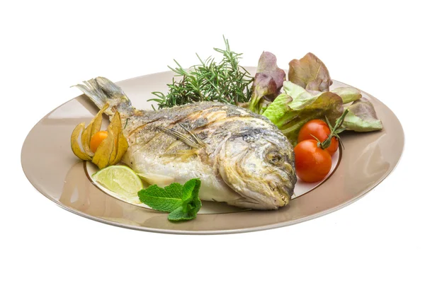 Dorado grilled — Stock Photo, Image