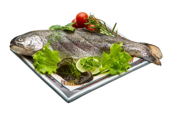 Fresh raw rainbow trout — Stock Photo, Image