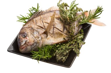 levrek ızgara deniz