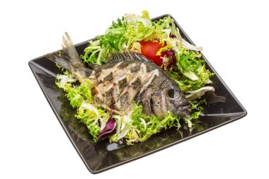ızgara tilapia ile salata