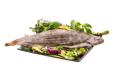 dil balığı balık