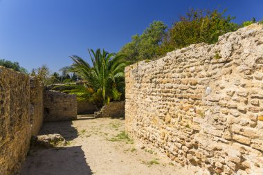 eski Kartaca Harabeleri