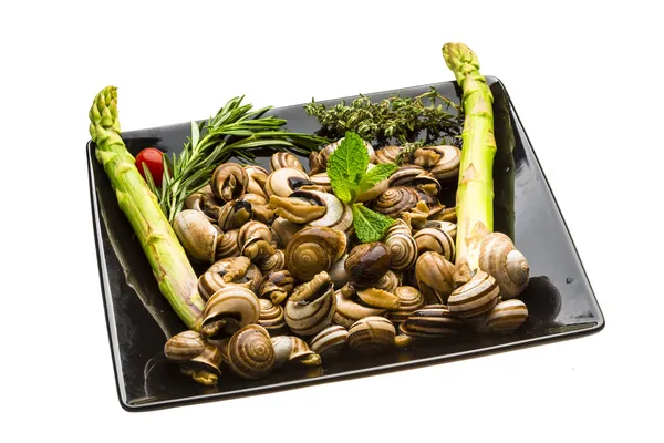 Escargot con espárragos, romero, timo y tomate —  Fotos de Stock