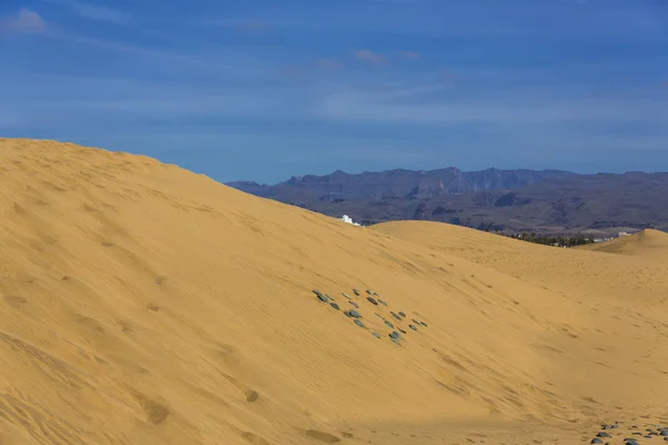 Maspalomas Duna - Woestijn op Canarische Eilanden Gran Canaria — Stockfoto