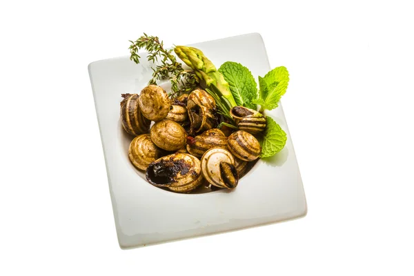 芦笋、 迷迭香、 胸腺和番茄与蜗牛 — 图库照片