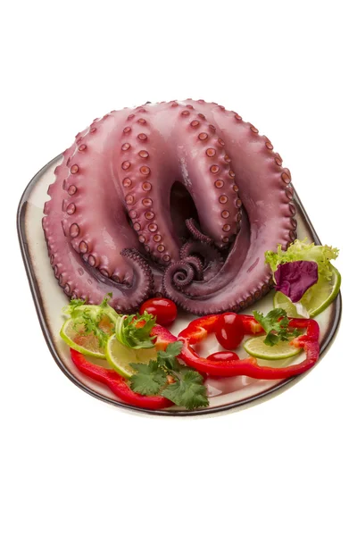 Large boiled octopus — Stock Photo, Image