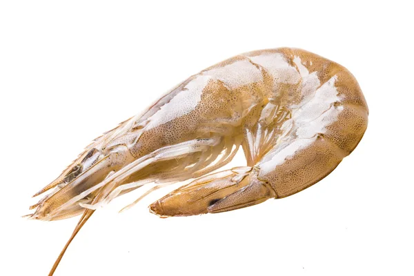 Big raw shrimps — Stock Photo, Image