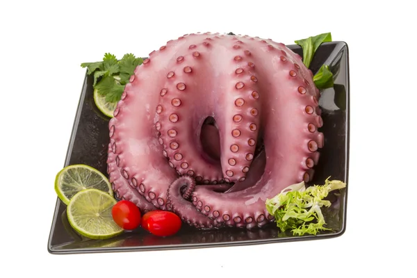 Large boiled octopus — Stock Photo, Image