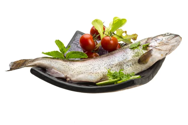 Fresh raw rainbow trout — Stock Photo, Image