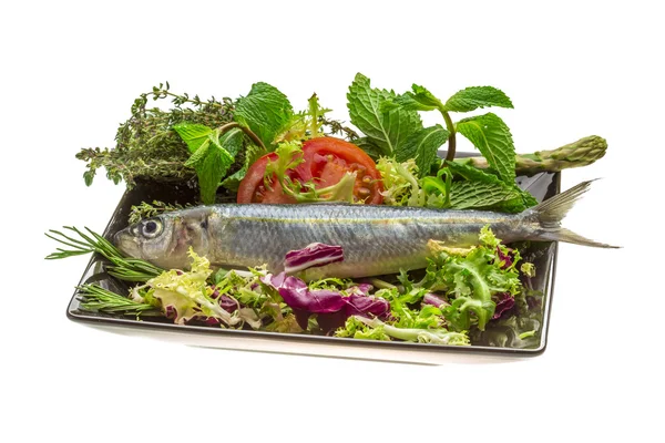 Fresh Herring — Stock Photo, Image