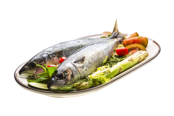 Sardinas crudas del Atlántico —  Fotos de Stock