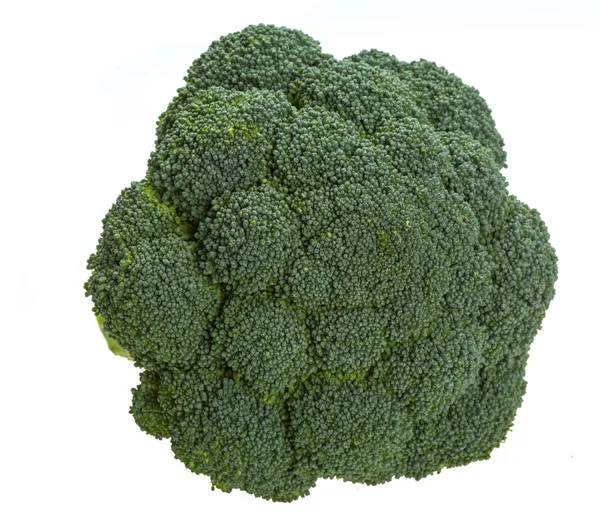 Brokoli — Stock Photo, Image