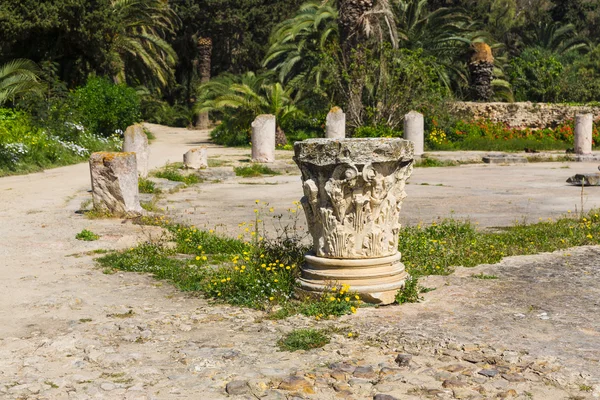 옛 카르타고 유적 — 스톡 사진