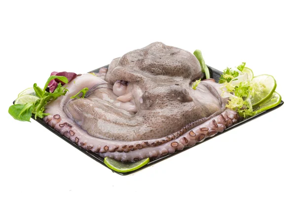 Raw large octopus — Stock Photo, Image