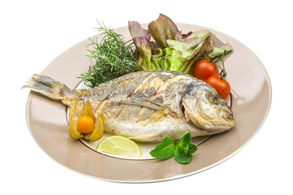 Dorado grilled — Stock Photo, Image