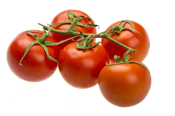 Червоні стиглі помідори на гілці — стокове фото