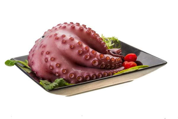 Grote gekookte octopus — Stockfoto
