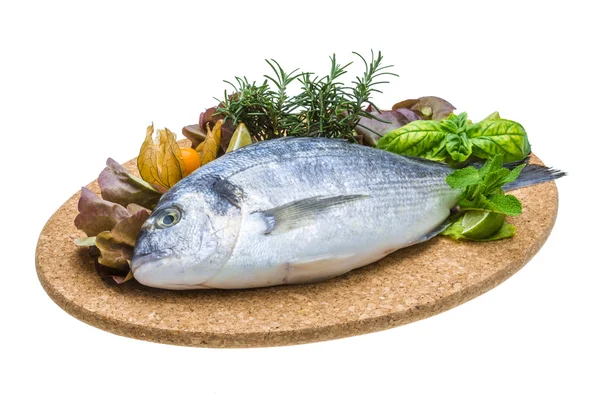 Fresh raw dorada — Stock Photo, Image