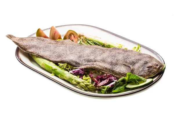 Ryby dover sole — Stock fotografie