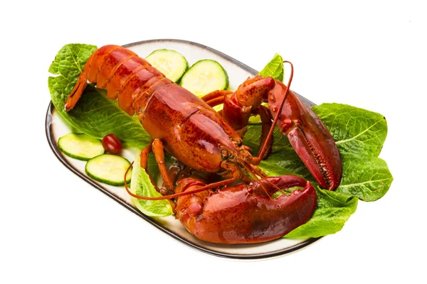 Grand homard — Photo