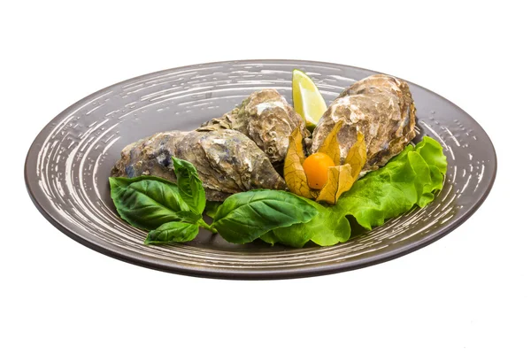 Fresh oyster — Stock Photo, Image