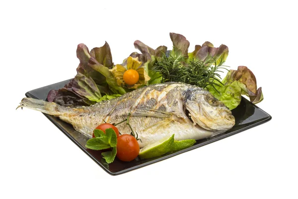 Dorado grilled — Stock Photo, Image