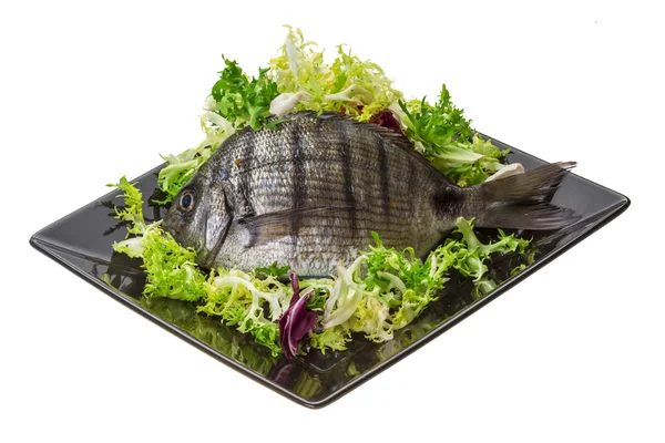 Rohes Tilapia — Stockfoto