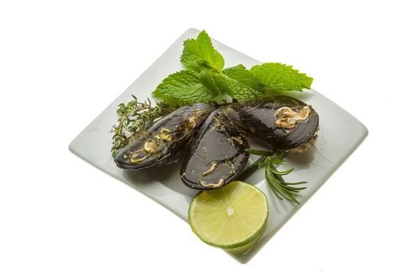 Mejillones silvestres — Foto de Stock